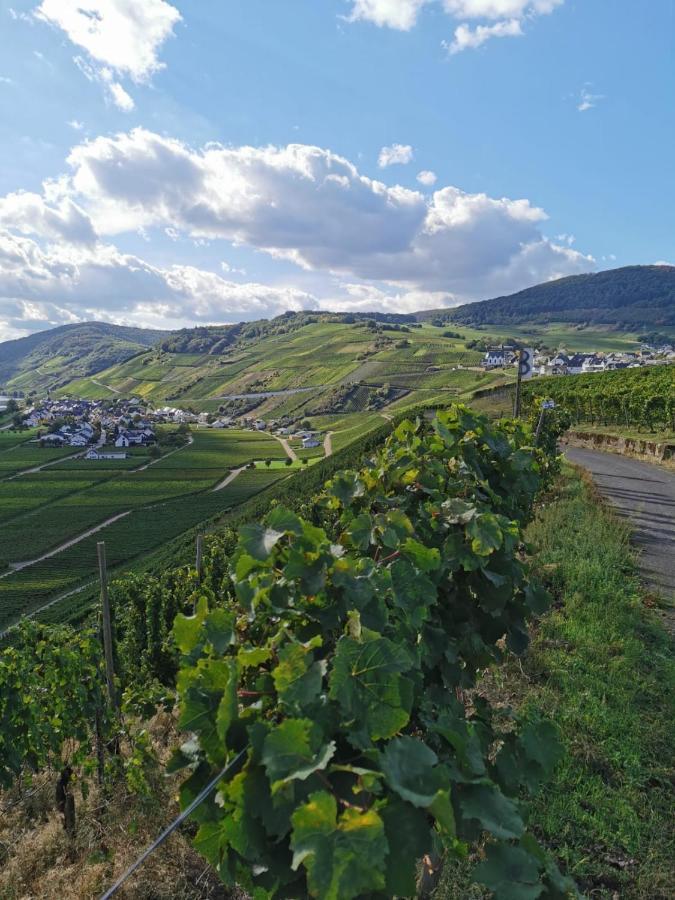 הוילה Beilingen Casa Eifel מראה חיצוני תמונה